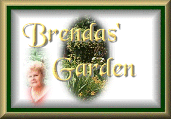 Brenda's Garden Logo